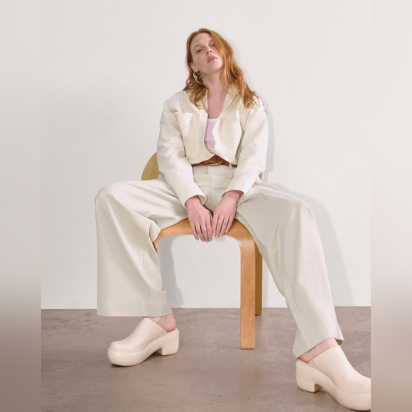 Everlane The Way High Wide Leg Drape Pleats Pants Size 4S - Picture 1 of 11